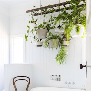 Hanging Ladder Pot Rack, Plant Display Rack