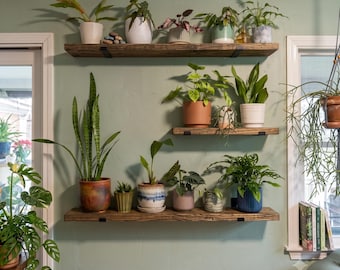 Heavy Duty Rustic Pine Shelf: Modern Plant Display with J Brackets