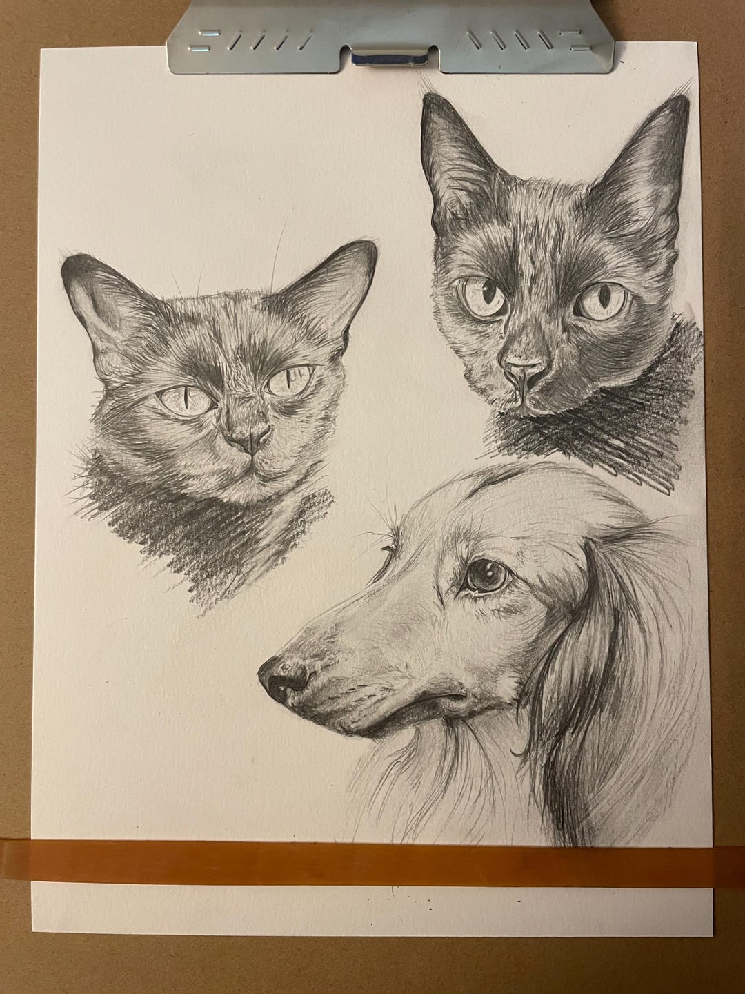 Custom Pet Portrait Graphite Drawing. Animal Portrait Hand-drawn. - Etsy