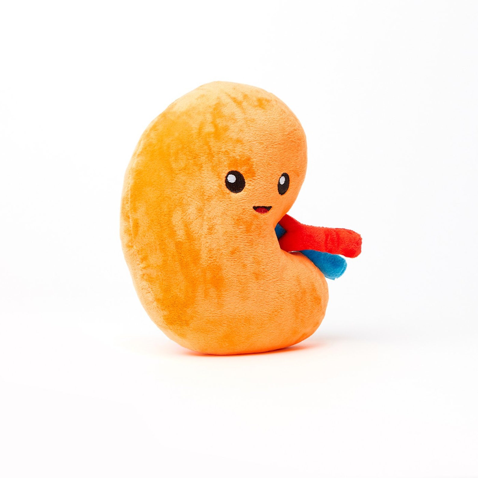 Nerdbugs Kidney Plushie Organ Kidney Transplant Gift Kidney Etsy