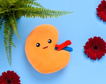 nerdbugs Kidney Plushie Organ - Njurtransplantationspresent, njurdonatorpresent, njurcanceröverlevarepresent, nefrologisjuksköterska, dialysteknikerpresent