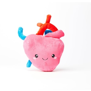 Heart Plush Organ - Nerdbugs Heart Plushie Organ - I aorta to tell you how much I love you