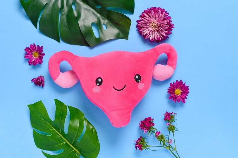 nerdbugs Uterus Organ Plush- OBGYN gift, Labor & Delivery nurse, Midwife gift, Endometriosis gift, PCOS, Ovarian Cancer gift, Hysterectomy