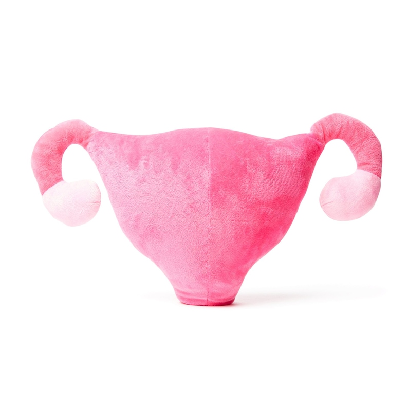 nerdbugs Livmoderorganplysch - Gynekologpresent, förlossningssjuksköterska, barnmorskepresent, endometriospresent, PCOS, äggstockscancerpresent, hysterektomi bild 10