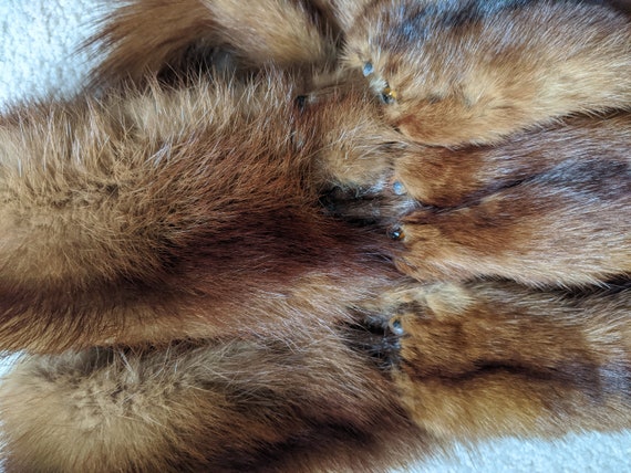 Vintage Marten Fur Stole, 3 Pelts, Rich Caramel B… - image 4