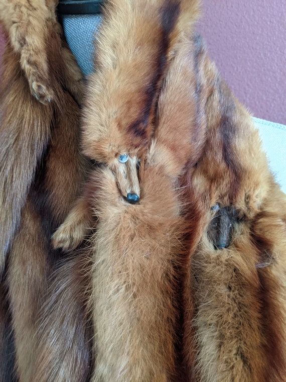 Vintage Marten Fur Stole, 3 Pelts, Rich Caramel B… - image 5
