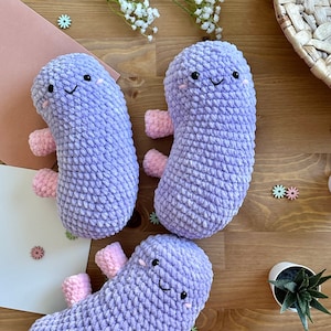 Lindo peluche de riñón de ganchillo - enfermedad renal - regalo de riñón - peluche de riñón