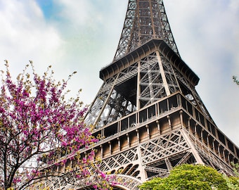 Photography Art Print - Paris, France, Eiffel Tower, Pink, Spring