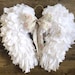 see more listings in the ANGEL WINGS section