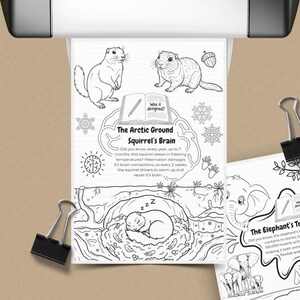 May include: Black and white printable educational pages featuring illustrations of animals and facts. One page focuses on the Arctic Ground Squirrel's brain, and the other on the Elephant's Trunk. Includes the text "DOWNLOAD & PRINT".