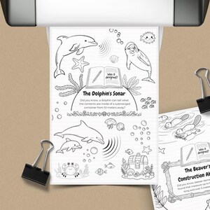 Op de afbeelding: Zwart-wit kleurplaten met illustraties van zeeleven en educatieve tekst. De pagina's bevatten illustraties van dolfijnen, zeesterren en een schatkist, met de tekst "De sonar van de dolfijn" en "De constructievaardigheid van de bever".
