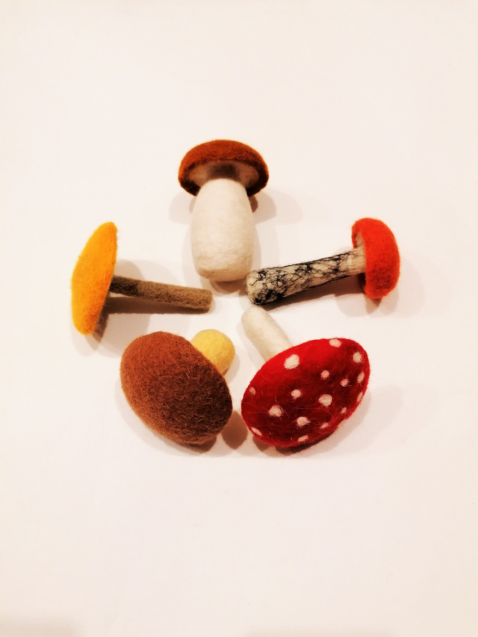 Educational game with children Learn the mushroom Etsy