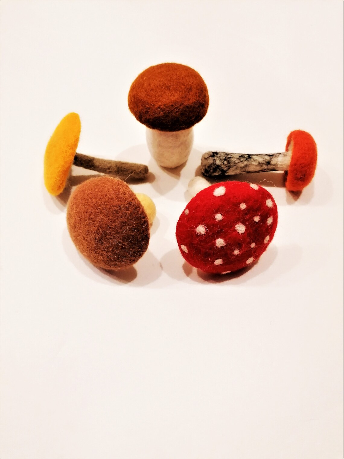 Educational game with children Learn the mushroom Etsy