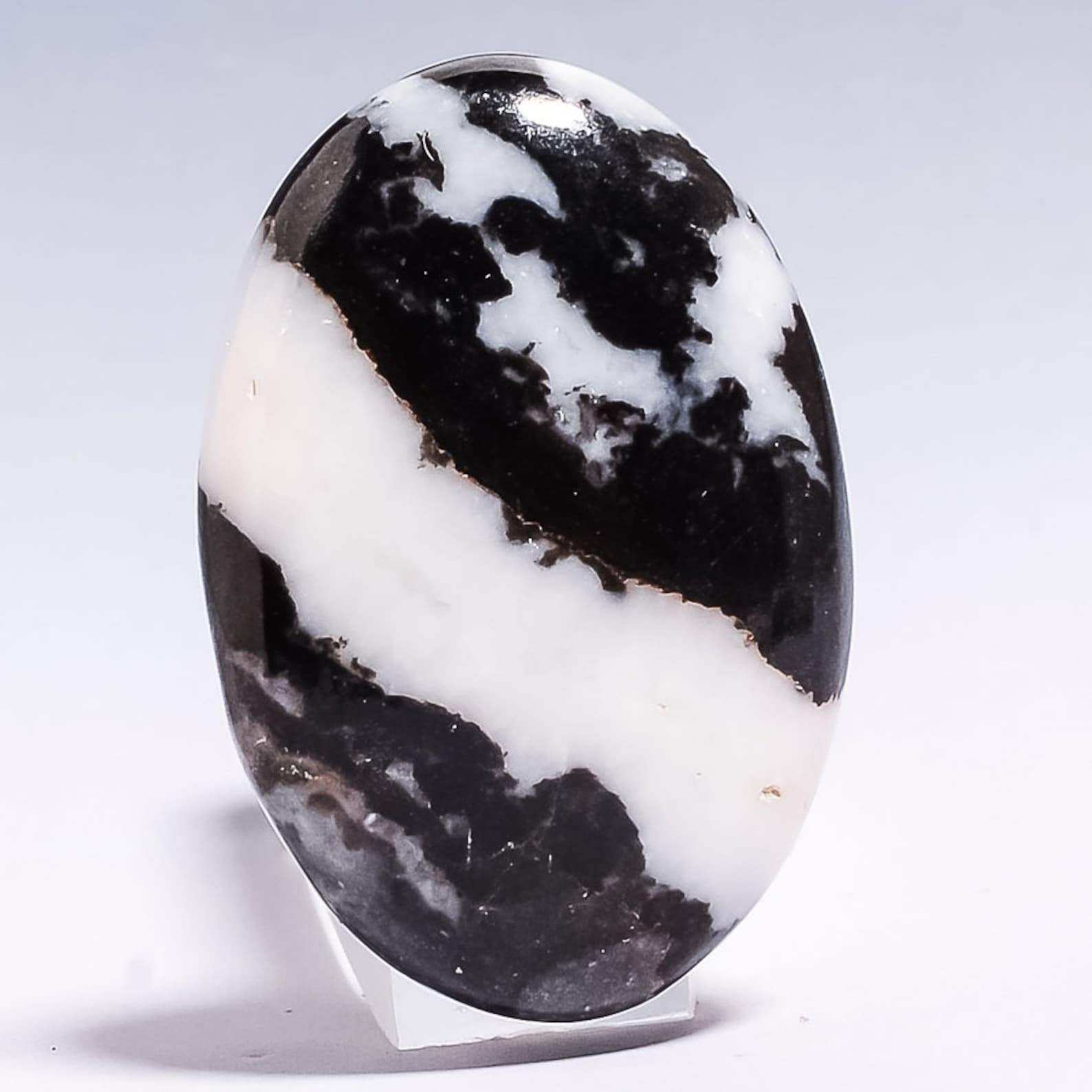 Natural Zebra Jasper Loose Gemstone Cabochon 32 X 22 X 6 mm Etsy