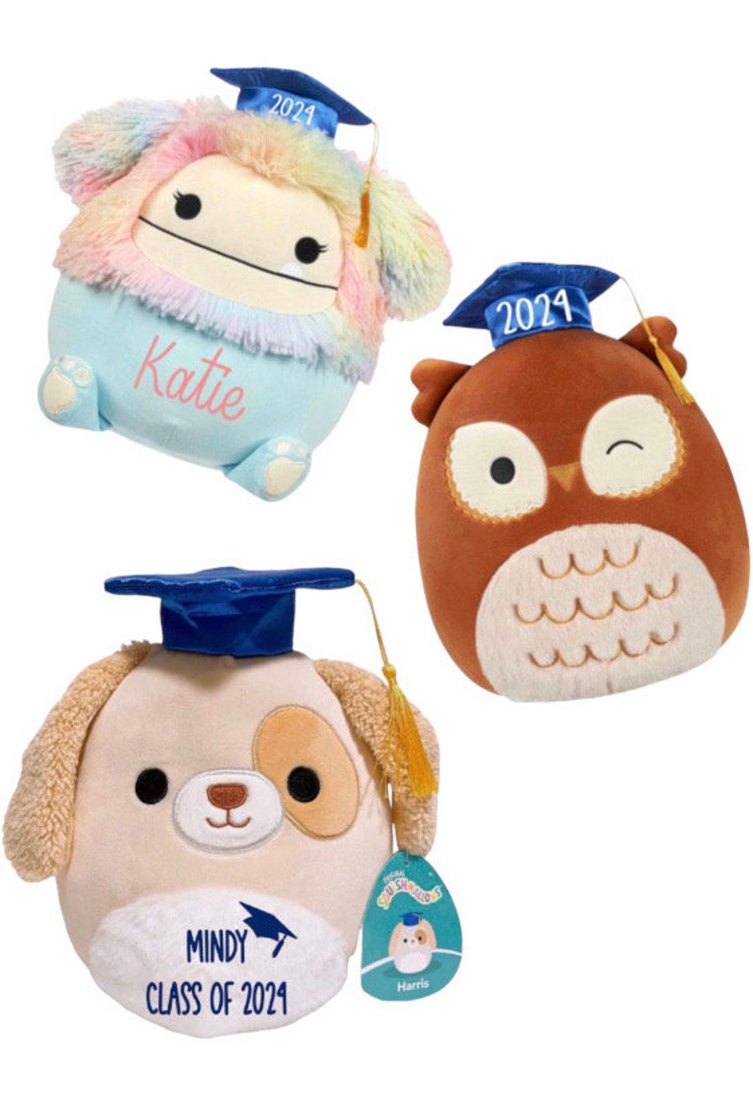 Custom Graduation Squishmallows Personalized Gift Class of 2025 Stuffed Animals Graduation Owl