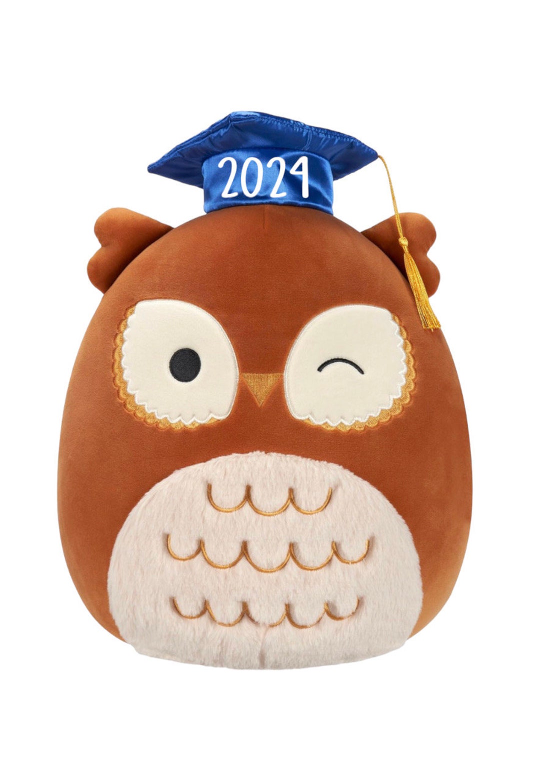 Custom Graduation Squishmallow Plush Personalized Gift Custom Plush
