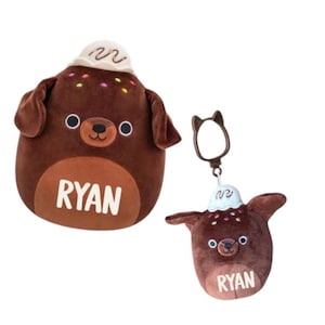 Custom Brownie Lab Squishmallow: Personalized Plush Dog