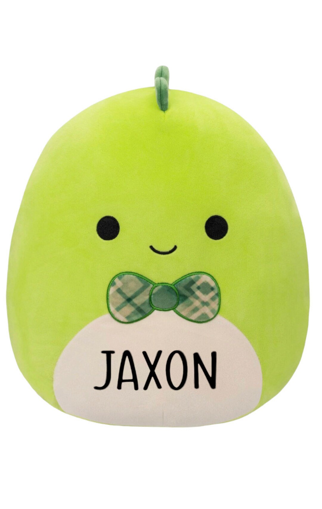 Custom Dinosaur Squishmallow Plush Personalized Gifts Custom Plush Kids