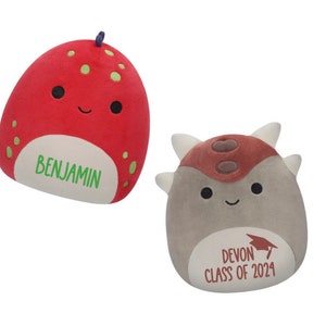 Custom Graduation Squishmallow Plush: Personalized Class of 2024 Gift
