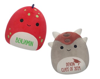 Custom Graduation Squishmallow Plush: Personalized Class of 2024 Gift