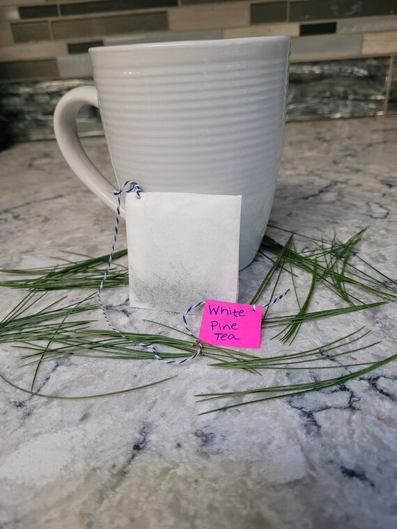 White Pine Needle Tea 4 Pack Etsy