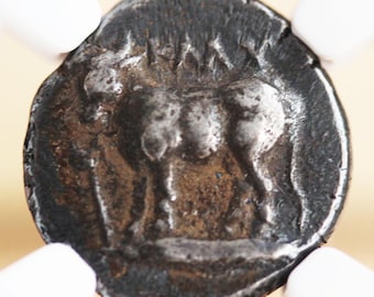 Ancient Greek Silver Drachm – Ch VF NGC– Bithynia Calchedon, The Sacred Bull of the Black Sea