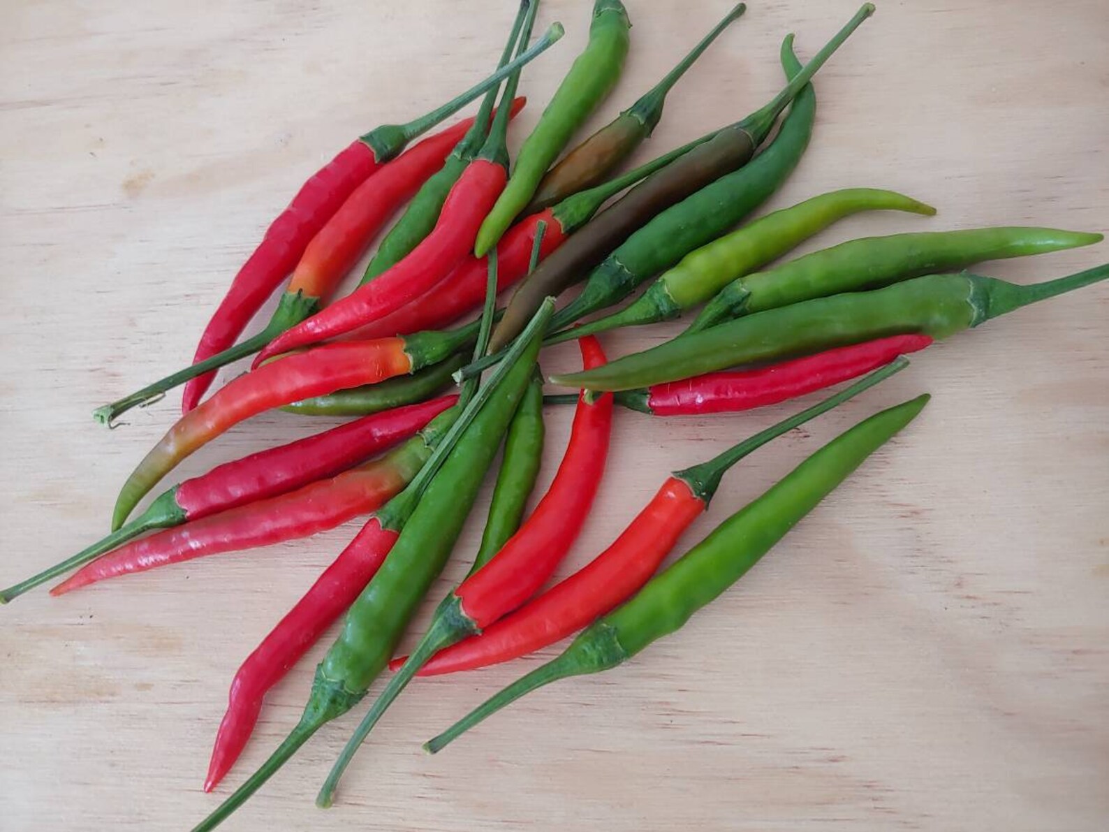 50seeds. Thai Hot Pepper Seed. Thai Chili Seed. Jinda Pepper Etsy