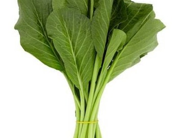 Edible Rape Cải Ngọt Asian Vegetable Green Yu Choy seeds -1 OZ=13000 seeds Edible Rape Cải Ngọt Asian Vegetable Green Yu Choy seeds -1 OZ=13000 seeds