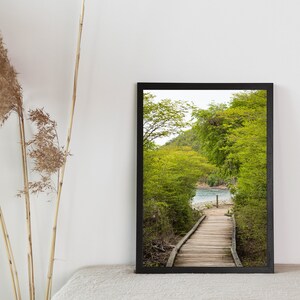 Beach Trail St John Print Matte Poster Mountains STJ St. John USVI Francis Bay Green Nature Coastal Beachy Decor Wall Hangings Tropical