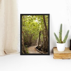 St John Island Trail Print Matte Poster STJ USVI St. John Prints Virgin Islands Francis Bay Green Nature Love City Decor Wall Hangings