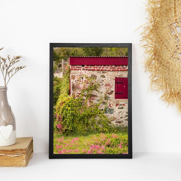 Floral Island Home near Francis Bay St John USI STJ Love City East Side Caribbean Decor Wall Hangings Print Matte Poster