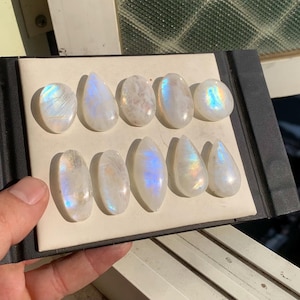 Può includere: Una collezione di dieci pietre preziose di pietra di luna lucidata in varie forme, tra cui ovali e a goccia. Le pietre sono bianche con riflessi iridescenti blu e gialli. Sono esposte su un vassoio nero con interno color crema.