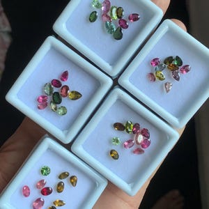 Puede incluir: Surtido de gemas de colores en peque&ntilde;as bandejas blancas. Las gemas var&iacute;an en forma y color, incluyendo rosa, verde, amarillo y marr&oacute;n. Las bandejas se sostienen en una mano.