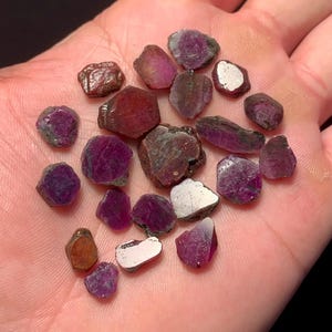 Könnte beinhalten: Eine Sammlung roher Rubin-Edelsteine in verschiedenen Rot- und Lilatönen, einige mit metallischem Glanz. Die grob geschnittenen Steine werden in einer Hand gehalten und zeigen ihren natürlichen, unpolierten Zustand. Die Edelsteine variieren in Größe und Form.