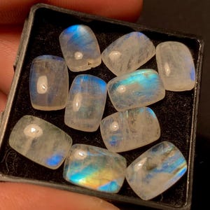 Könnte beinhalten: Eine Sammlung von neun rechteckigen Mondstein-Cabochons, jeweils mit einer milchig-weißen Basis und schillernden blauen und Regenbogen-Reflexen. Die Steine liegen in einer schwarzen Schale und zeigen ihre polierten Oberflächen.