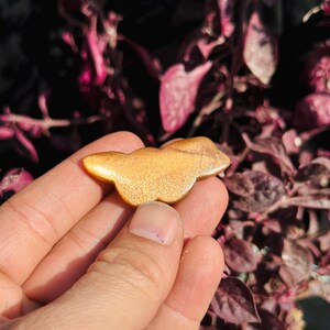 Könnte beinhalten: Ein goldfarbener, schmetterlingsförmiger Sonnensten-Anhänger mit schimmerndem Finish.