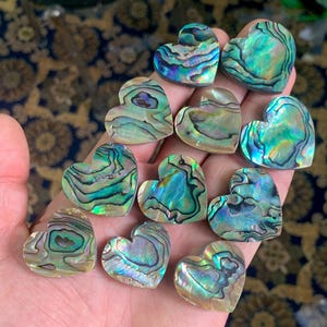 Könnte beinhalten: Eine Sammlung herzförmiger Abalone-Muscheln, die irisierende Blau-, Grün- und Lilatöne aufweisen. Die Muscheln haben ein natürliches, strukturiertes Aussehen mit wirbelnden Mustern. Die Herzen werden in einer Hand gehalten, mit einem dunklen, gemusterten Hintergrund.