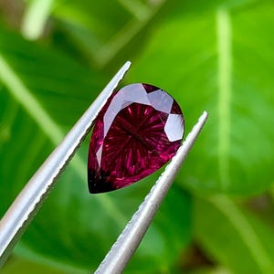 May include: A pear-shaped, deep magenta-coloured gemstone with a faceted surface that creates a radial, star-like pattern within the stone. The gemstone is held by a pair of silver-toned metal tweezers, showcasing its clarity and vibrant colour.