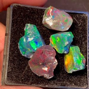 Könnte beinhalten: Eine Sammlung von fünf rohen Opal-Edelsteinen, die jeweils ein einzigartiges Farbspiel aufweisen. Die Opale reichen in der Farbe von leuchtenden Grün- und Blautönen bis hin zu feurigen Rot- und Orangetönen. Die Edelsteine werden in einer kleinen, schwarzen Schale präsentiert.