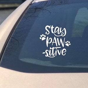Stay Pawsitive | Dog Decal Sticker | Cute Car Decal | Positive Cute Car Sticker | Girly Decal