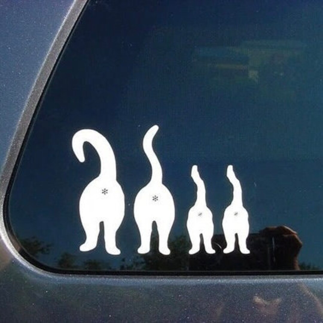 Funny Cat Family | Decal Sticker | Funny Car Decal | Cute Car Sticker ...