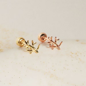 14k Solid Gold Leaf Stud Earrings, Cartilage Tragus Earring, Minimalist Leaf stud Earrings, Olive Branch Leaf Earring, Gold Tree Branch Stud