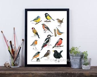 Gartenvögel Poster A3