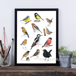 Póster de pájaros de jardín A4