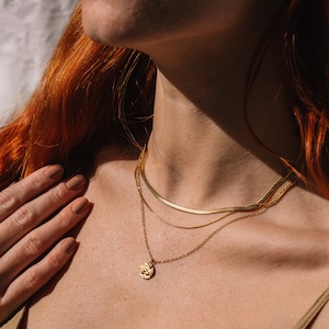 Layered Gold Necklace Herringbone, 18K Gold Plated Snake Necklace Waterproof, Boho Choker Layer Necklace, Double Necklace Gold Fishbone image 2