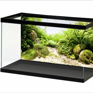 Aquarium Background Poster Sticker Decoration Aquarium Background Sticker maybe according to your design