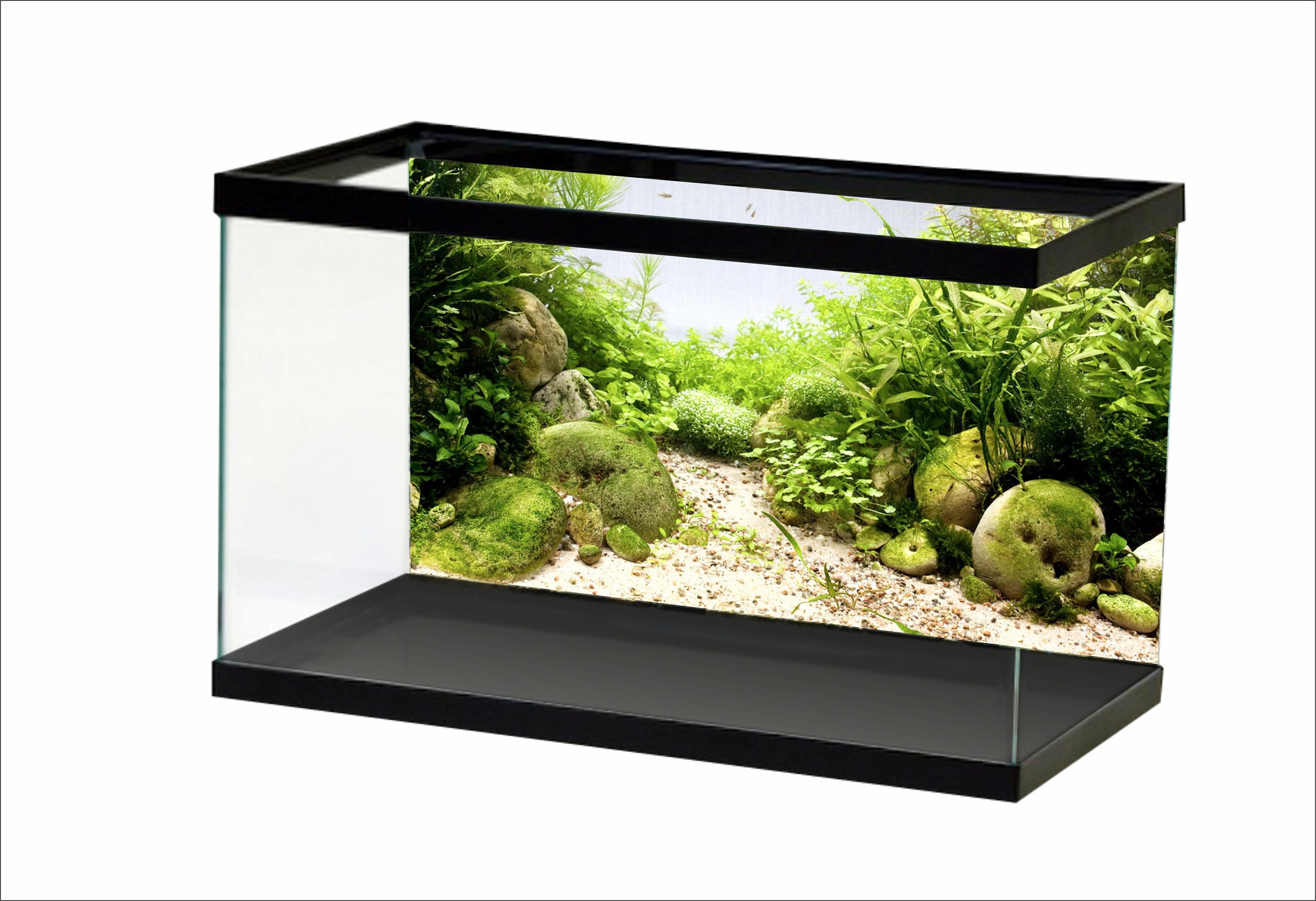 Aquarium Background Poster Sticker Decoration Aquarium Background Sticker  Maybe According to Your Design 