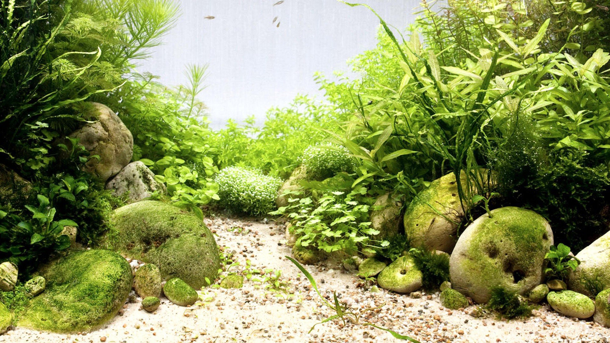 PVC Aquarium Hintergrund Aufkleber – Wasserdicht, Produktbild-Vorschau 9