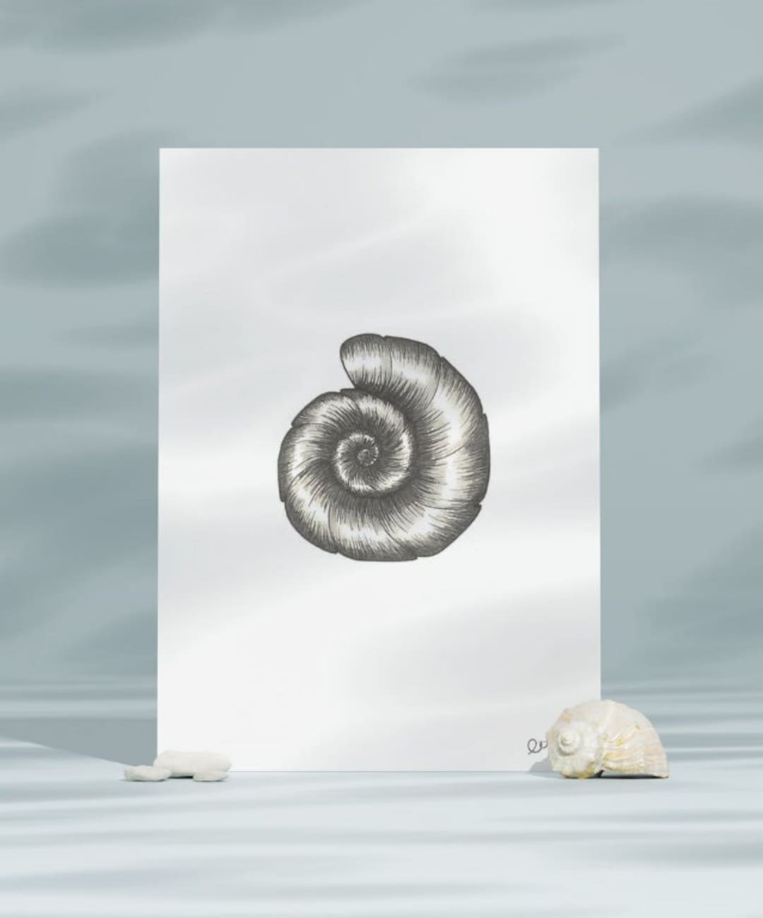 Necklace- Genuine Ammonite Fossil- Medium, image size:1080x1300