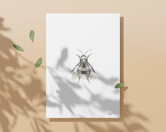 Abeja - Dibujada a mano - Estilo tatuaje - Arte mural - DESCARGA DIGITAL